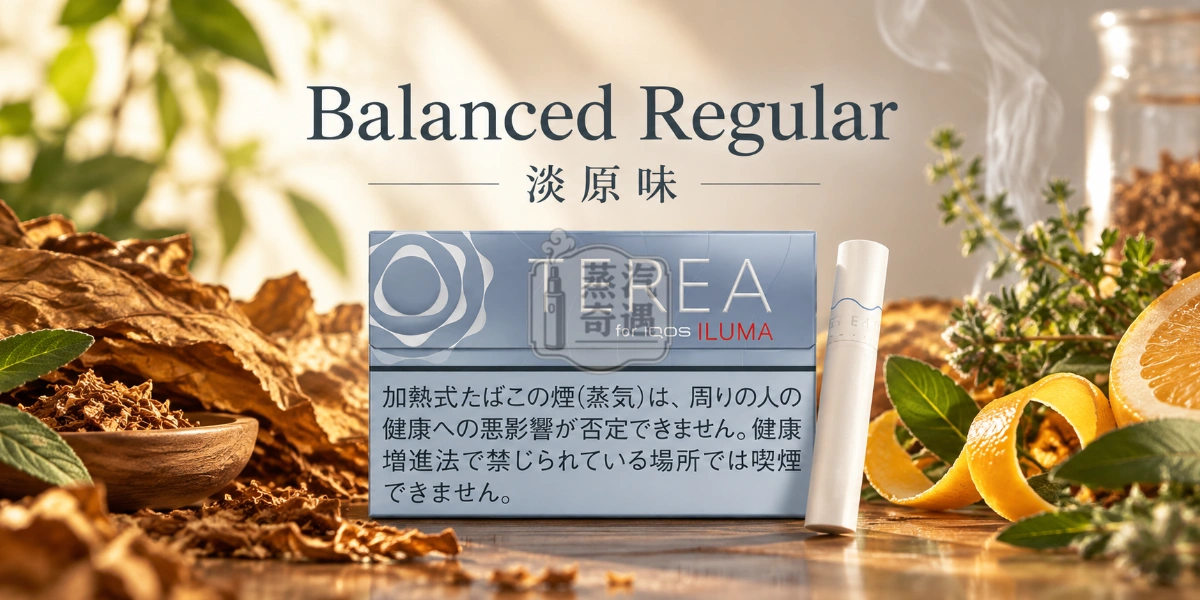 日本TEREA Balanced Regular淡原味口味介紹圖，呈現溫潤菸草、清新草本與淡雅柑橘香氣