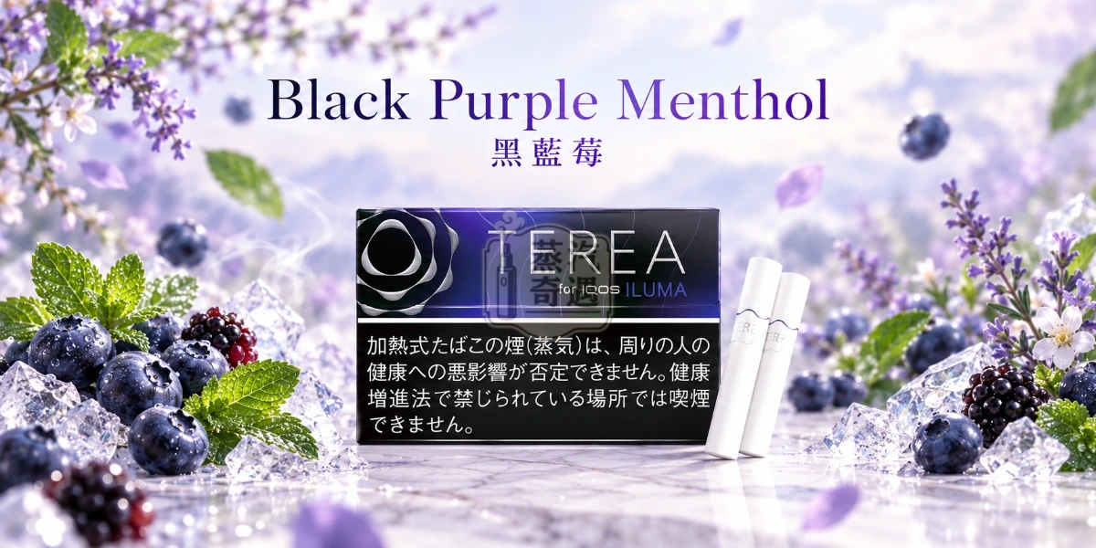 日本TEREA Black Purple Menthol黑藍莓口味介紹圖,呈現強勁冰涼薄荷、深色藍莓、微酸莓果與淡淡草本香氣。