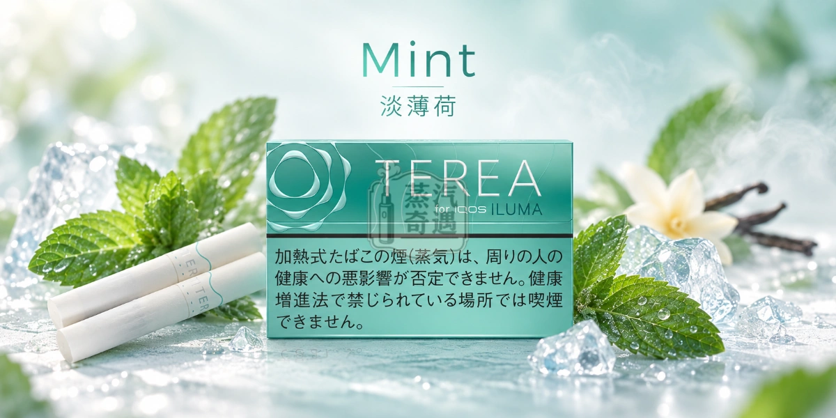 日本TEREA Mint淡薄荷口味介紹圖，呈現清爽薄荷、柔和冰感、淡淡香草甜香與草本辛香