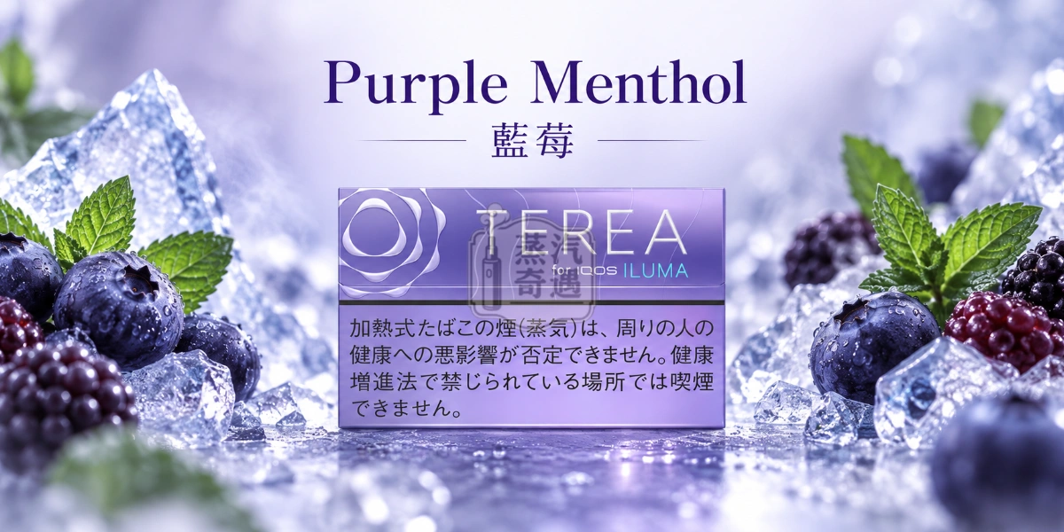 日本TEREA Purple Menthol藍莓口味介紹圖,呈現強勁冰涼薄荷、深色藍莓、微酸莓果與淡淡草本香氣